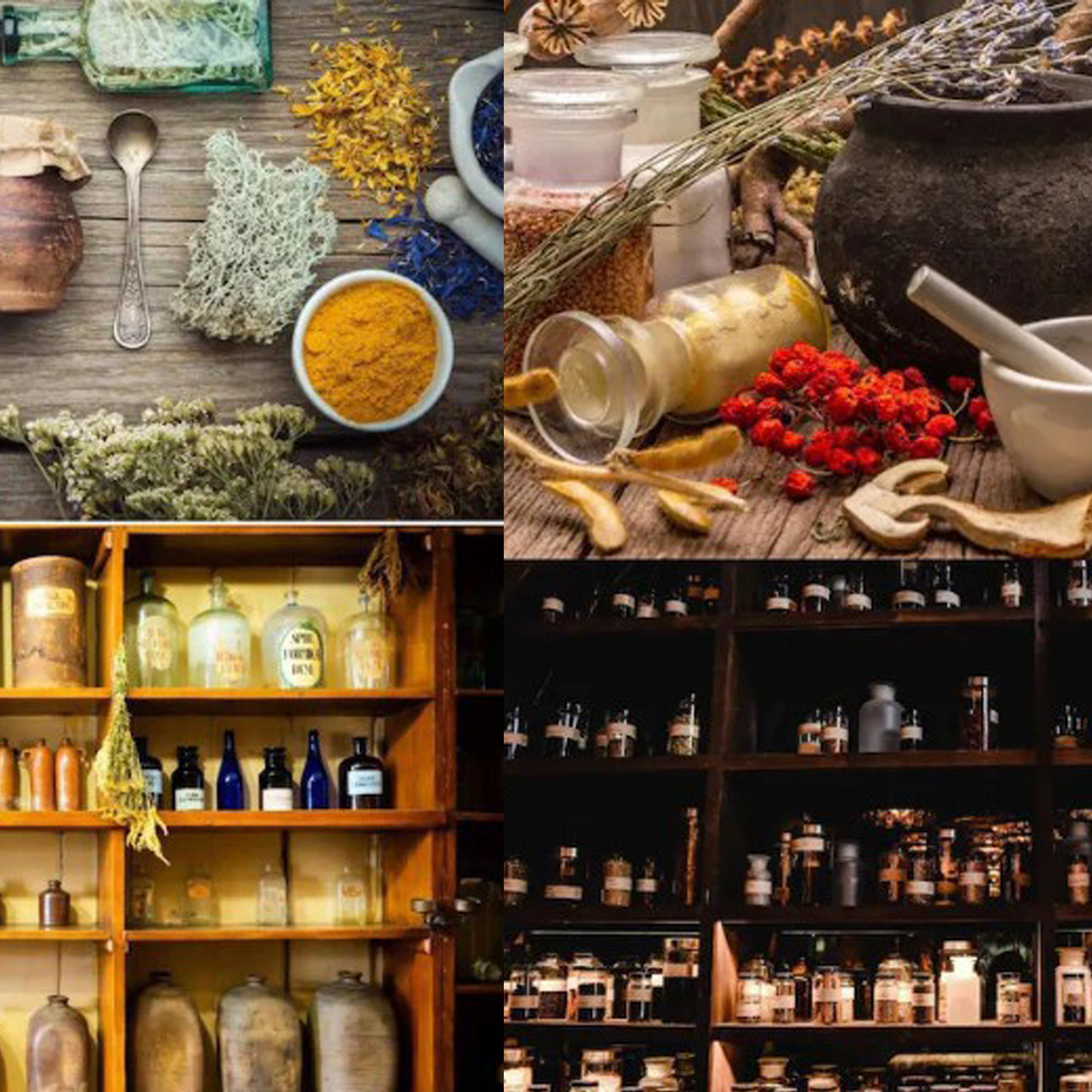 1000+ Forgotten Apothecary Rec – обзор и цена Herbal Wellness Recipes
