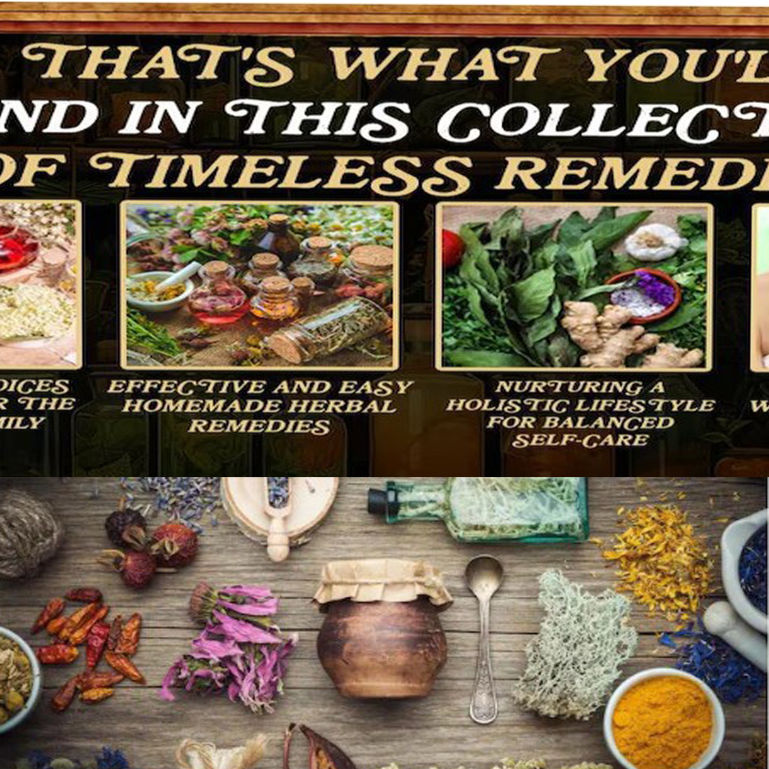 1000+ Forgotten Apothecary Rec – обзор и цена Herbal Wellness Recipes