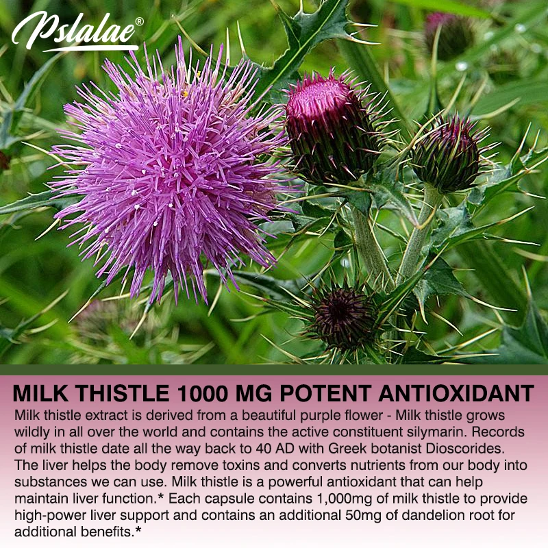 Natural Milk Thistle Supplemen – обзор и цена Milk Thistle Silymarin